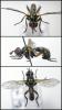 78152 – Photo : Arthropa - Benoit Martha – France (74)
