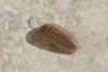 78604 – Photo : Nicolas Alric – France (12)