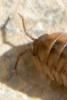 78658 – Photo : Nicolas Alric – France (12)