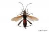 78976 – Photo : Robin NOEL – France (20)