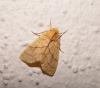 78331 – Photo : Arnaud Jean-Pierre – France (09)