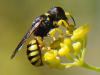 78636 – Photo : Prisca – France (13)