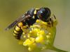 78637 – Photo : Prisca – France (13)