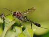 78443 – Photo : Prisca – France (13)