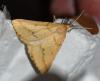 78167 – Photo : Philippe Moniotte – France (30)