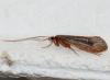 78240 – Photo : Philippe Moniotte – France (30)