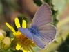 78529 – Photo : Prisca – France (13)