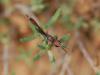 78362 – Photo : Maite Santisteban Rivero – Espagne