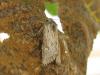 78476 – Photo : jeromebubu – France (81)