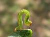 78557 – Photo : jeromebubu – France (47)