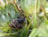 78459 – Photo : patrick derennes – France (77)