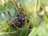 78460 – Photo : patrick derennes – France (77)