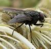 78641 – Photo : Elisabeth A. Harris – Royaume-Uni