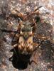78374 – Photo : Axel Dehalleux – France (93)
