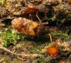 78398 – Photo : Axel Dehalleux – France (93)