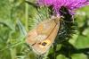 79429 – Photo : Nicolas Alric – France (05)