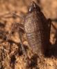 79398 – Photo : André Burgers – Espagne