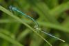 79004 – Photo : Juliane Casquet – France (12)