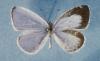 79441 – Photo : OCIS – France (51)