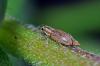 79344 – Photo : Christophe Quintin – France (21)