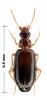 79116 – Photo : P.Deschamps – Grèce