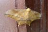 79495 – Photo : Philippe Marquet – Gabon