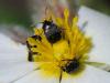 79445 – Photo : Prisca – France (13)