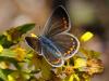 79093 – Photo : Prisca – France (13)