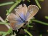 79685 – Photo : Prisca – France (13)