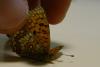 79789 – Photo : Nicolas Alric – France (12)
