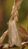 79585 – Photo : Christine DEVILLERS – Belgique
