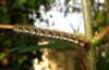 79692 – Photo : Michalke Friedrich – France (14)