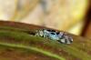 79420 – Photo : Christophe Quintin – France (21)