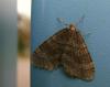 79921 – Photo : Vincent VALLI – France (10)