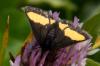 79246 – Photo : Delahaye Thomas – France (73)