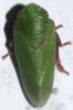 79773 – Photo : André Burgers – Espagne