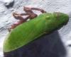 79772 – Photo : André Burgers – Espagne