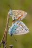 8711 – Photo : olivier puccia – France (13)