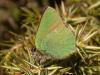 8353 – Photo : Chris – France (83)
