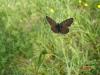 8670 – Photo : Arnaud Jean-Pierre – France (09)