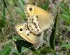 8666 – Photo : Arnaud Jean-Pierre – France (66)