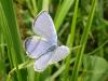 8935 – Photo : Arnaud Jean-Pierre – France (09)