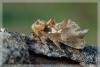 8607 – Photo : David Demerges – France (46)
