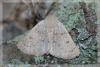 8566 – Photo : David Demerges – France (34)