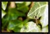 8030 – Photo : antho – France (30)