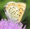 8421 – Photo : Amy – France (81)