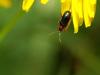 8431 – Photo : Daniel Pollen – Suisse