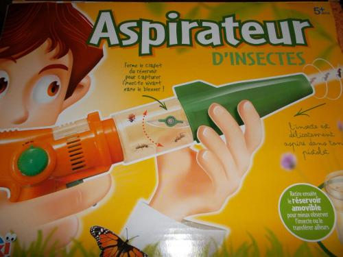 Aspirateur sp.