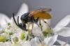 80373 – Photo : Eugène Vandebeulque – France (45)