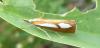 80600 – Photo : Bertrand COTTE – France (01)